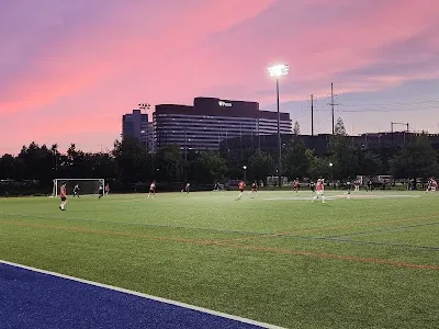 Ace Adams Field