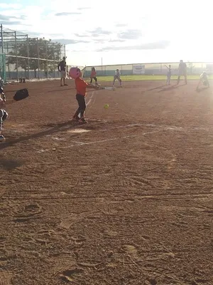 Altamont Little League photo 4