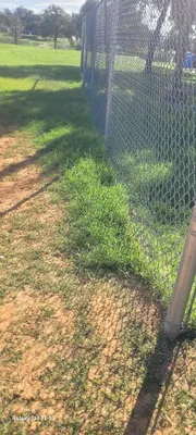 Amistad Park Baseball Diamond photo 4