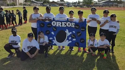 Arizona Girls Softball (League) photo 2