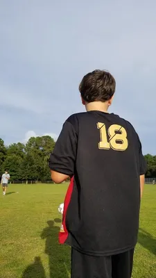 Ball fields photo 2