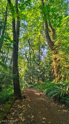 Bannerwood Park photo 4