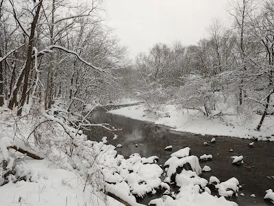 Barcroft Park photo 4