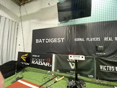 Bat Digest photo 2