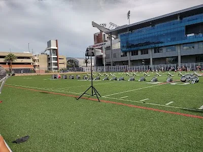 Bear Down Field
