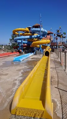 Boomers Irvine photo 4