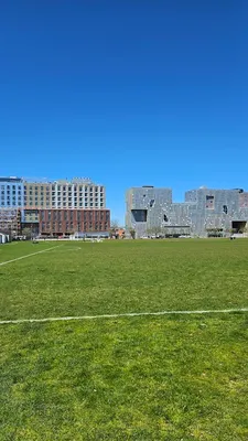 Briggs Field photo 4