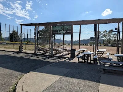 Bud Hammer Field photo 3