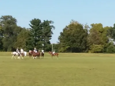 Bullitt Fields