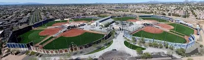 Cactus Yards