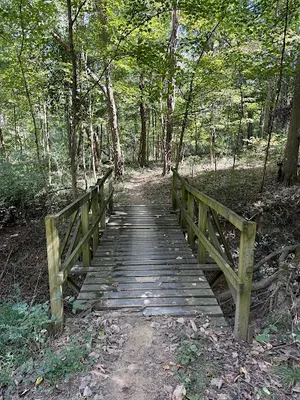 Cane Ridge Ball Park photo 2