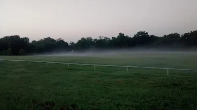 Carl Smith Sports Complex photo 3