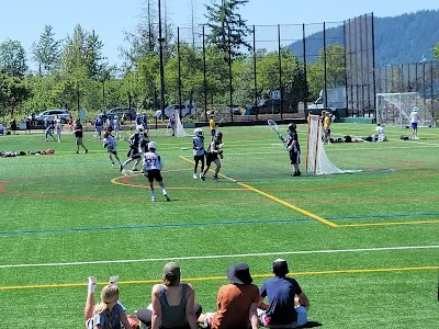 Central Park Fields