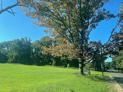 Chamounix Field photo 4