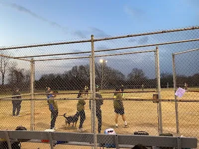Chandler Park Baseball Fields