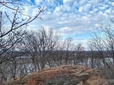 Chandler Park photo 5