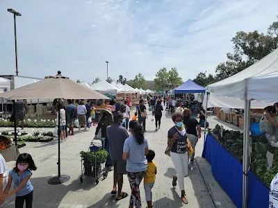 Charles H. Wilson Park photo 3