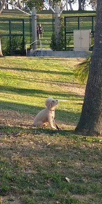 Charles H. Wilson Park photo 5