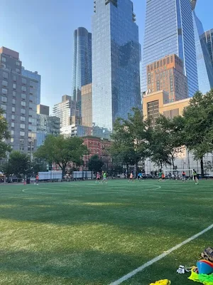 Chelsea Park photo 3