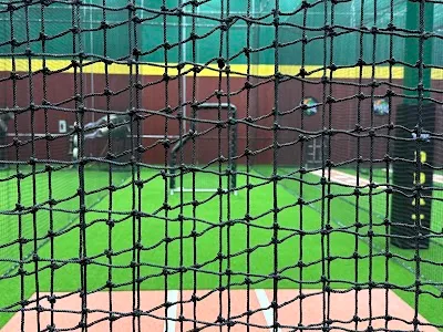 D-BAT Chaska photo 3