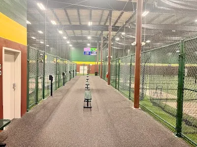 D-BAT Denham Springs photo 2