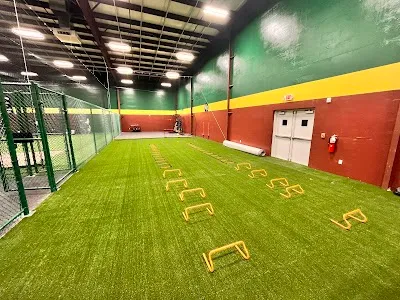 D-BAT Denham Springs photo 5