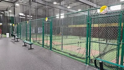 D-BAT Lacey photo 2