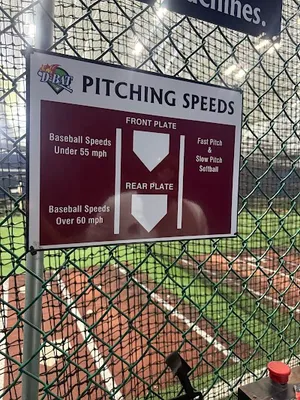 D-BAT Mid-Michigan photo 3