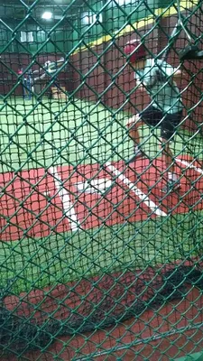 D-BAT Monroe photo 2
