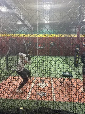 D-BAT NW Denver photo 5