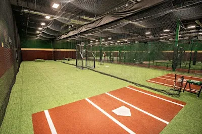 D-BAT South Lyon (Formerly D-BAT Detroit) photo 2
