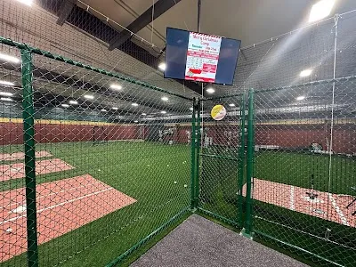 D-BAT Summerville