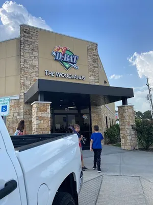 D-BAT The Woodlands photo 2