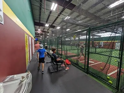 D-BAT The Woodlands photo 3
