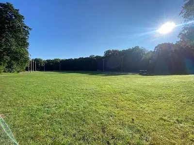 Daisy Field