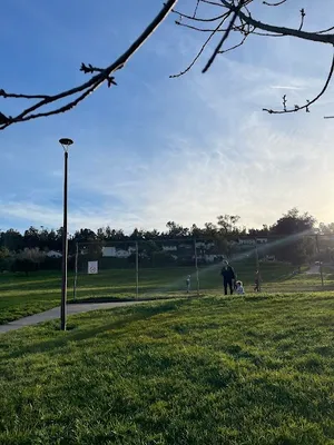 De Portola Baseball Field photo 2