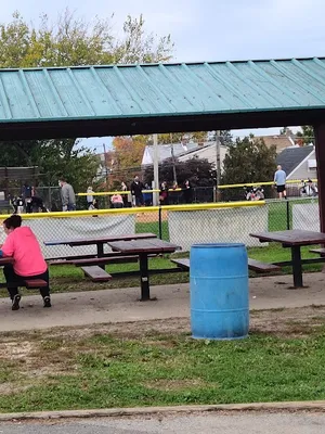 Drexel Hill Little League photo 3