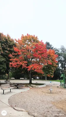 E.C. Hughes Playground photo 5