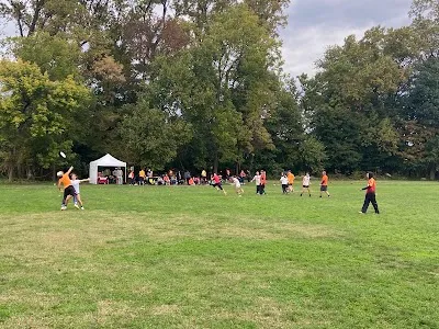 Edgely Ultimate Fields