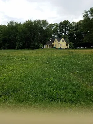 Edgely Ultimate Fields photo 5