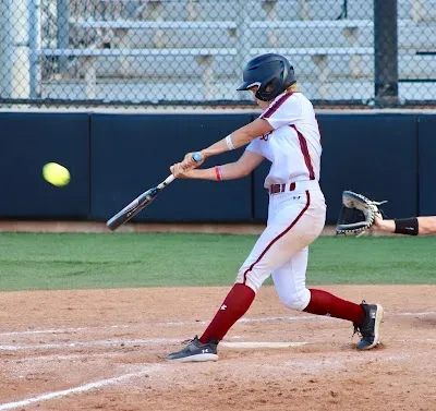 Elite Swing photo 2