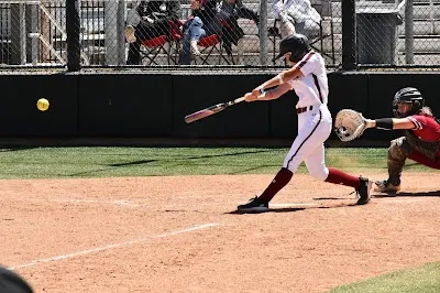 Elite Swing photo 3