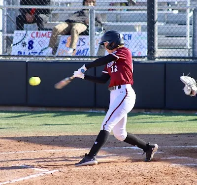 Elite Swing photo 5