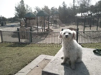 Elysian Fields photo 4