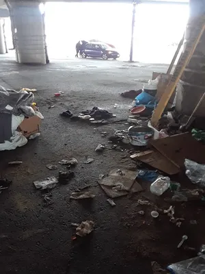 Emerson College Rotch Field photo 2