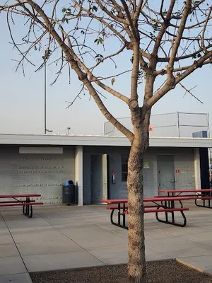 Fiesta Sports Complex photo 4