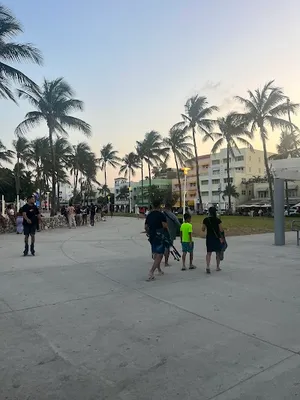 Flamingo Park Baseball field