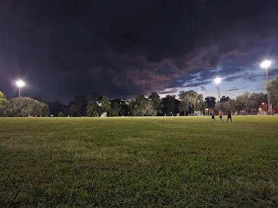 Flavet Field photo 2