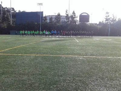 Fowler Park and Cunningham Field photo 2