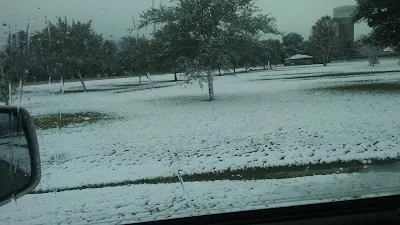 Friendswood Softball Fields photo 4